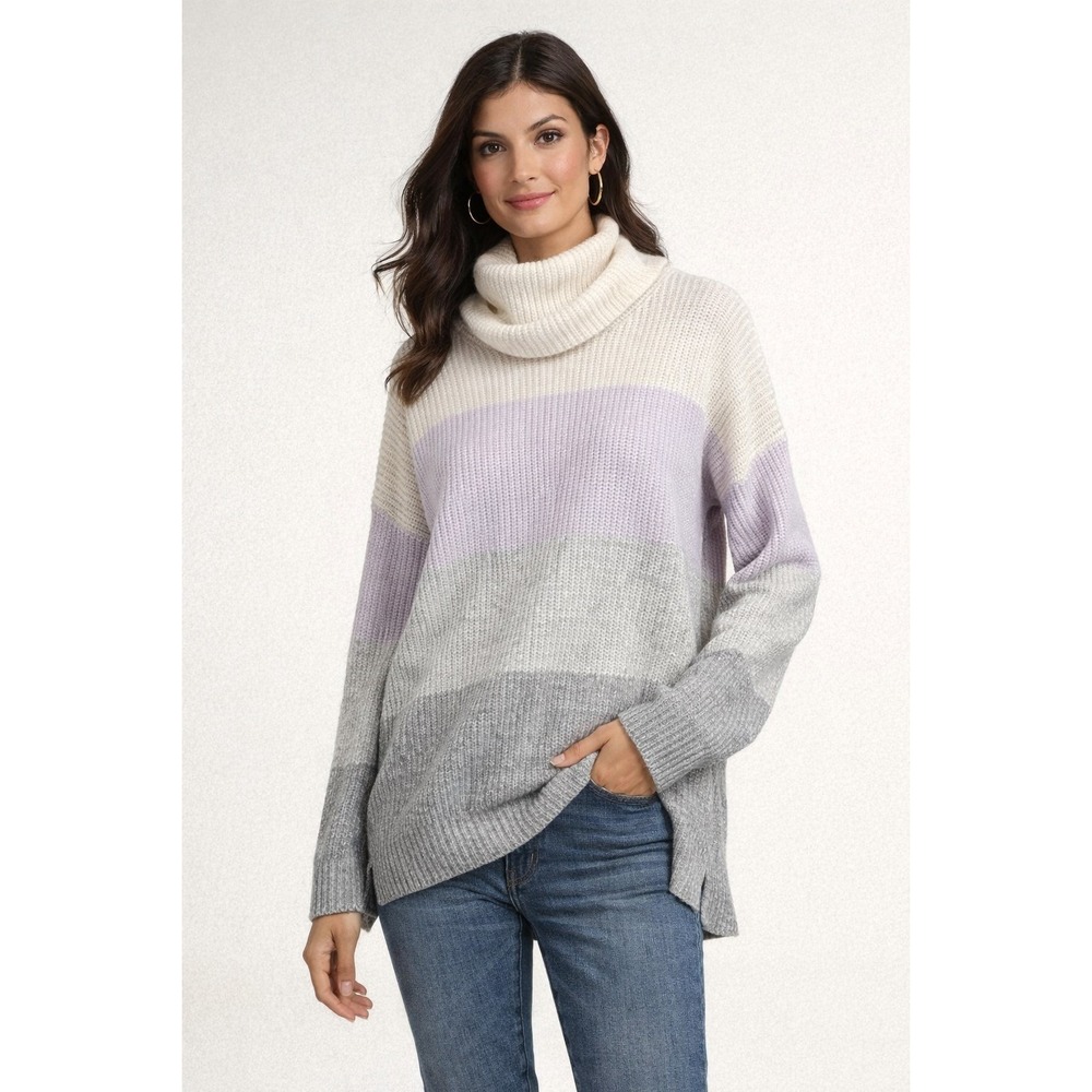 Splendid Funnel Colorblock Cowl‎ Neck Wool Blend Oversized Jumper Sweater